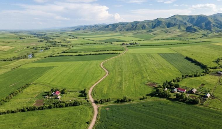 Қазақстандықтар жеке қосалқы шаруашылыққа жерді қалай тегін ала алады?