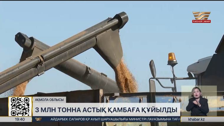 Ақмола облысында 3 миллион тонна астық қамбаға құйылды