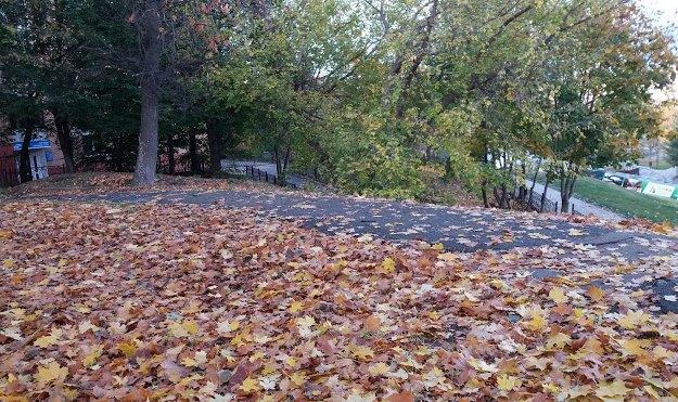Казахстан ждёт контрастная погода: жара и шторм в один день Сегодня, 08:16 3993